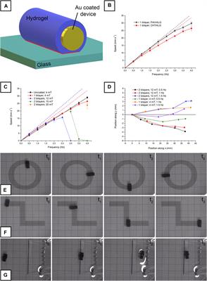 Layer-by-Layer Fabrication of Hydrogel Microsystems for Controlled Drug Delivery From Untethered Microrobots